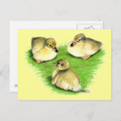 Snowy Mallard Ducklings Postkarte (Vorne/Hinten)