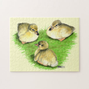 Snowy Mallard Ducklings Puzzle