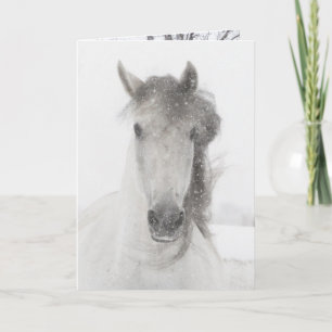 Snowy Mare - Grußkarte für Pferde Feiertagskarte