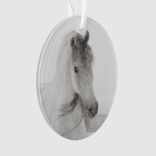 Snowy Mare Horse Ornament (Vorderseite)