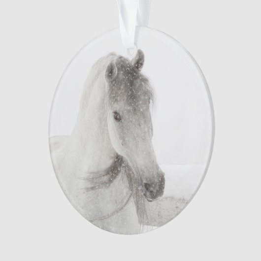 Snowy Mare Horse Ornament (Vorderseite)
