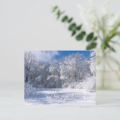 Snowy Marthaler Park und Bäume Postkarte (Stehend Vorderseite)