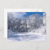 Snowy Marthaler Park und Bäume Postkarte (Vorne/Hinten)