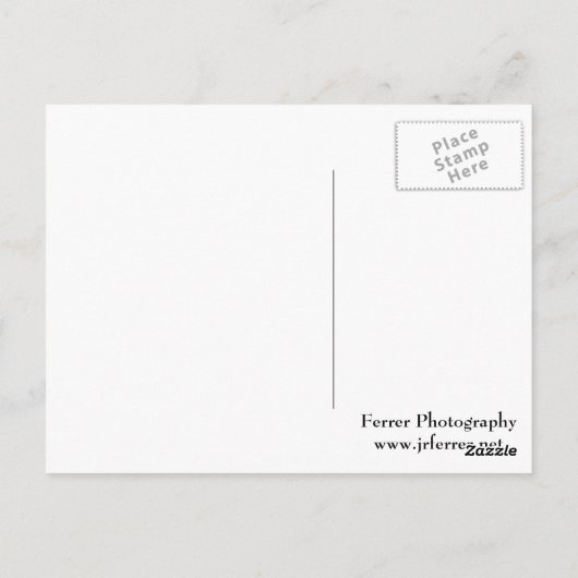 Snowy Marthaler Park und Bäume Postkarte (Rückseite)