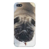 Snowy-Mops iPhone 5/5s glatter Fall Hülle (Hinten)