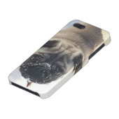 Snowy-Mops iPhone 5/5s glatter Fall Hülle (Unterseite)