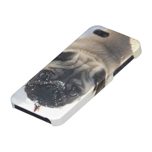 Snowy-Mops iPhone 5/5s glatter Fall Hülle (Unterseite)