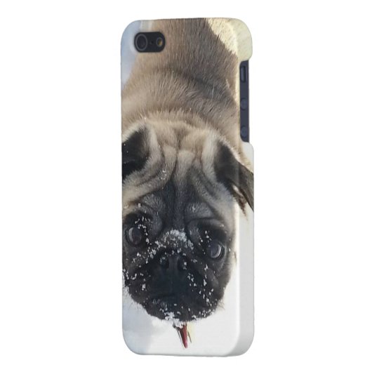 Snowy-Mops iPhone 5/5s glatter Fall Hülle (Rückseite links)