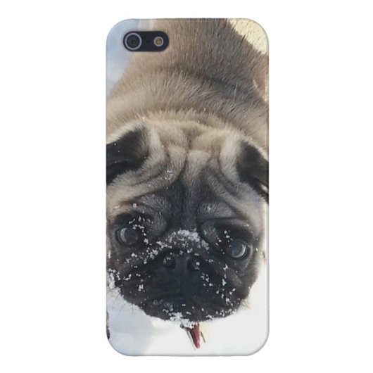 Snowy-Mops iPhone 5/5s glatter Fall iPhone Hülle (Hinten)