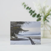 Snowy Morning Postcard Postkarte (Stehend Vorderseite)