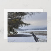 Snowy Morning Postcard Postkarte (Vorne/Hinten)