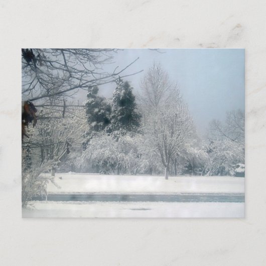 Snowy Morning - Postkarte (Vorderseite)