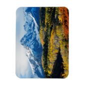 Snowy Mountain & Trees Magnet (Vertikal)