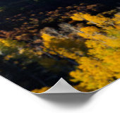 Snowy Mountain & Trees Poster (Ecke)