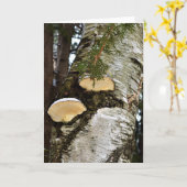 Snowy Mushrooms auf Birch Tree Karte (Gelbe Blume)