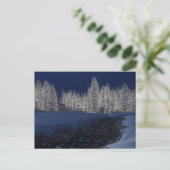 Snowy-Nachtpostkarte Postkarte (Stehend Vorderseite)