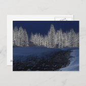 Snowy-Nachtpostkarte Postkarte (Vorne/Hinten)