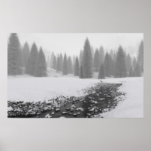Snowy-Nebenfluss Poster