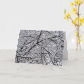 Snowy-Niederlassungen Karte (Gelbe Blume)