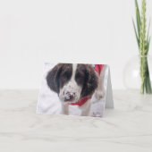 Snowy Nose Puppy Feiertagskarte (Vorderseite)