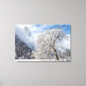 Snowy Oak Leinwanddruck (Vorderseite)