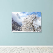 Snowy Oak Leinwanddruck (Insitu (Holzboden))