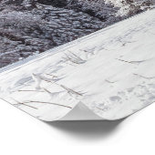Snowy Oak Poster (Ecke)