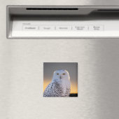 Snowy Owl 2" Magnet (In Situ (Geschirrspüler))