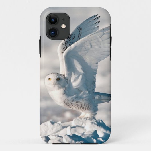 Snowy Owl abheben Case-Mate iPhone Hülle (Rückseite)