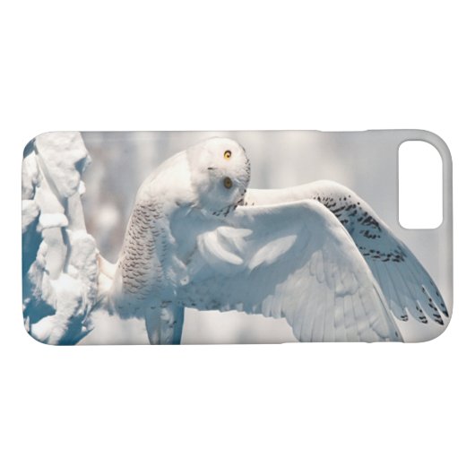 Snowy Owl abheben Case-Mate iPhone Hülle (Rückseite (Horizontal))