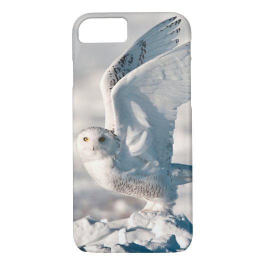 Snowy Owl abheben Case-Mate iPhone Hülle (Rückseite)