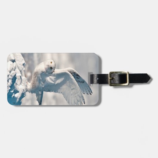 Snowy Owl abheben Gepäckanhänger (Vorderseite horizontal)