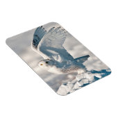 Snowy Owl abheben Magnet (Rechte Seite)