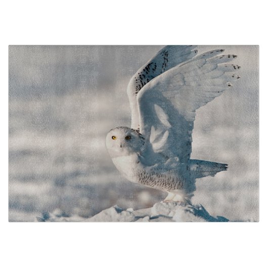 Snowy Owl abheben Schneidebrett (Vorderseite)
