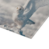Snowy Owl abheben Schneidebrett (Ecke)