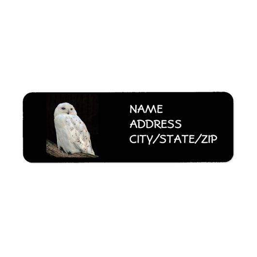 ** SNOWY OWL** ADRESSE ETIKETTIEREN (Vorne)