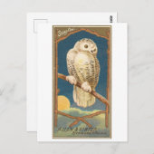 Snowy Owl Allen & Ginter Trade Card Postkarte (Vorne/Hinten)