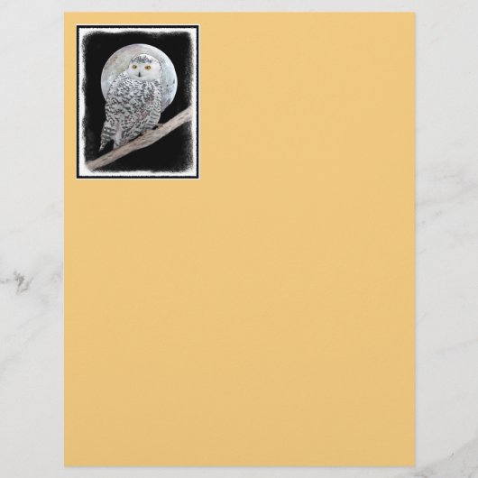 Snowy Owl and Moon Painting - Original Bird Art (Vorderseite)