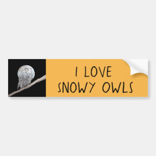 Snowy Owl and Moon Painting - Original Bird Art Autoaufkleber
