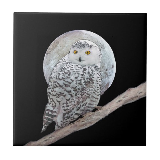 Snowy Owl and Moon Painting - Original Bird Art Fliese (Vorderseite)