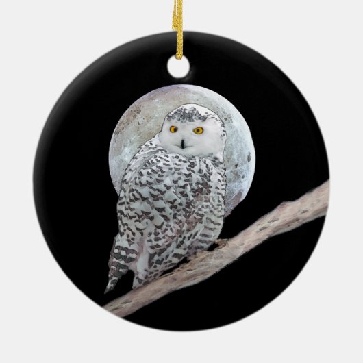 Snowy Owl and Moon Painting - Original Bird Art Keramik Ornament (Hinten)