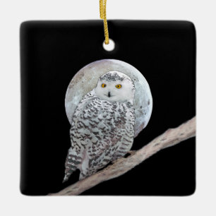 Snowy Owl and Moon Painting - Original Bird Art Keramikornament
