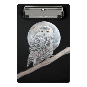 Snowy Owl and Moon Painting - Original Bird Art Mini Klemmbrett