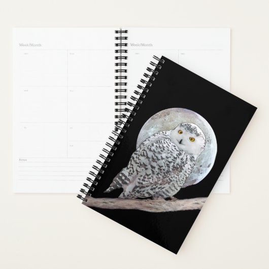 Snowy Owl and Moon Painting - Original Bird Art Planer (Anzeige)