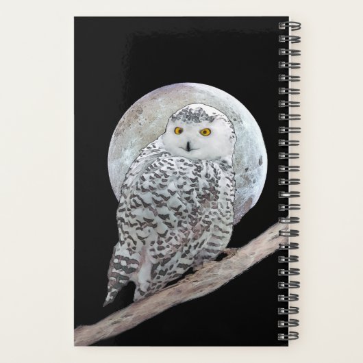 Snowy Owl and Moon Painting - Original Bird Art Planer (Rückseite)