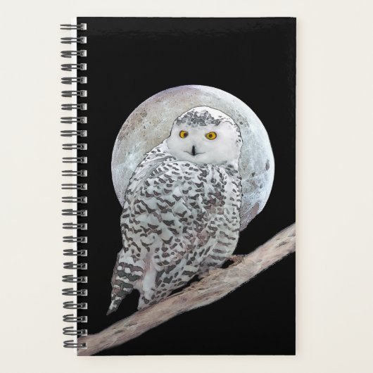 Snowy Owl and Moon Painting - Original Bird Art Planer (Vorderseite)
