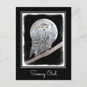Snowy Owl and Moon Painting - Original Bird Art Postkarte
