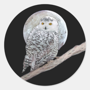 Snowy Owl and Moon Painting - Original Bird Art Runder Aufkleber