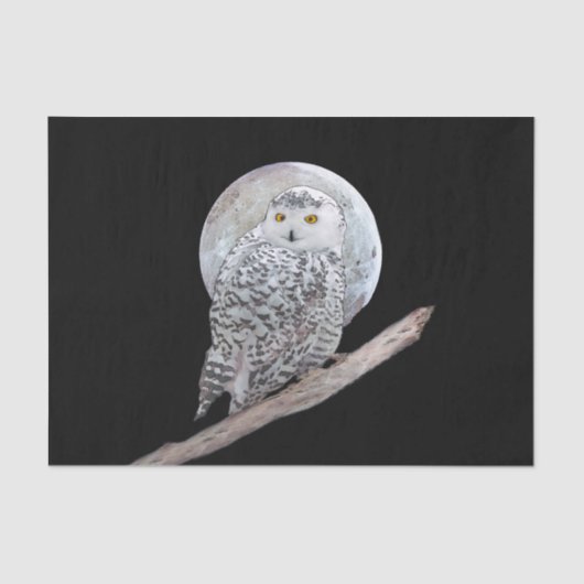 Snowy Owl and Moon Painting - Original Bird Art Seidenpapier (Vorderseite)