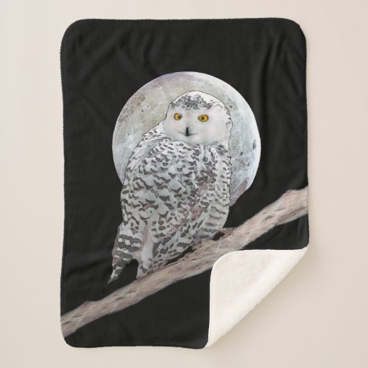 Snowy Owl and Moon Painting - Original Bird Art Sherpadecke (Vorderseite)